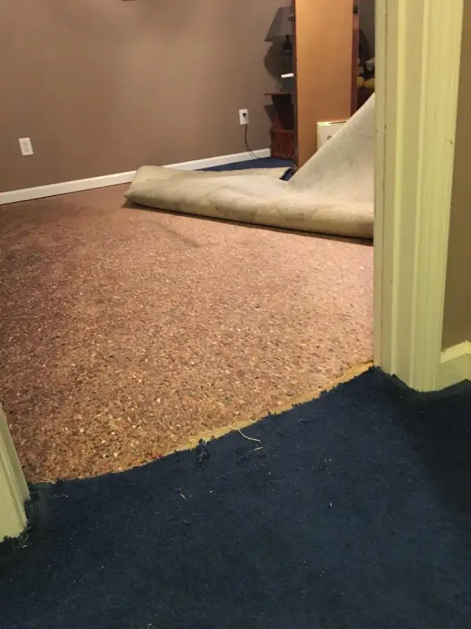 Carpet pad removal revealing water damage during Water Mitigation Services in Derry