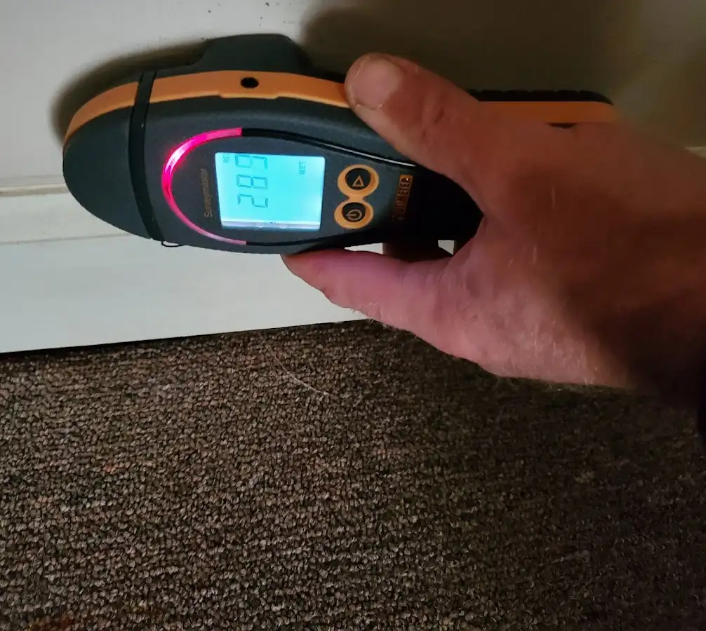 Moisture detection at baseboard during Sewage Cleanup & Sanitation in Derry